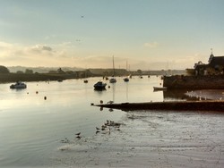 wp-1477413547454.jpg