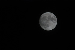 30660342690_0d986b3210_z.jpg