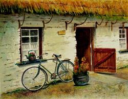 the-bicycle-karen-fleschler.jpg