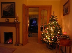 xmas_1382_zpskcypcc8b.jpg