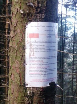 Notice.jpg