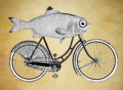 fish-riding-bicycle.png