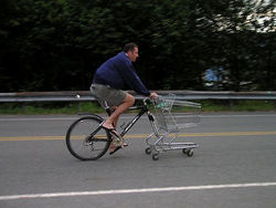 Cart-Bike.jpg