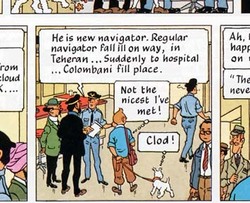 tintin.jpg