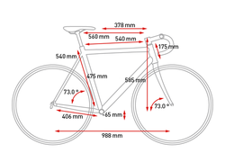 Geometry Peloton 58cm 2011.png