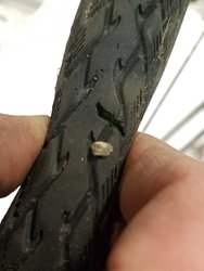 tyre.jpg