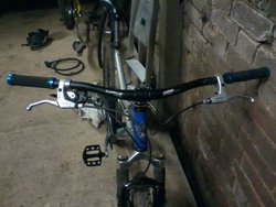 2017-01-30 20.26.23.jpg
