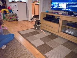 WP_20170213_18_09_15_Raw.jpg