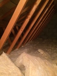 loft 1.jpg