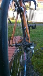 WP_20170128_007.jpg WP_20170128_007.jpg