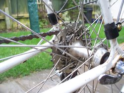 100_7427.jpg 100_7427.jpg