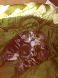 IMG_20170314_171820.jpg