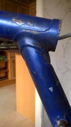 WP_20170316_002.jpg WP_20170316_002.jpg
