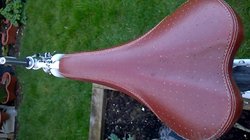 WP_20170324_010.jpg WP_20170324_010.jpg