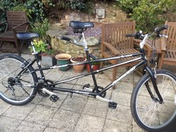 Ammaco tandem shop