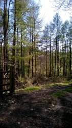 WP_20170407_14_09_55_Pro.jpg