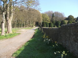 Otley-Embsay Apr 2017 018.JPG