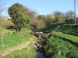 Otley-Embsay Apr 2017 019.JPG