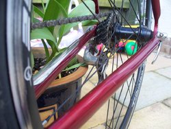 100_7506.jpg 100_7506.jpg
