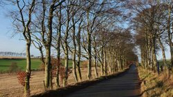 rps20131229_192636_396.jpg