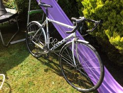 IMG_3142.JPG IMG_3142.JPG