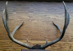 20170508_170825-1.jpg