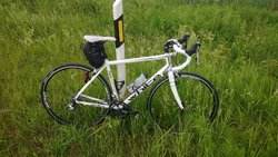 WP_20150628_004.jpg