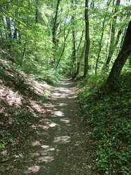 IMG_0147.JPG