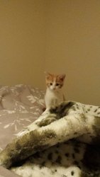 20160110_221438.jpg