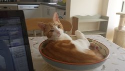 2016-05-09 14.28.38.jpg