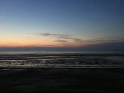 IMG_8687.JPG