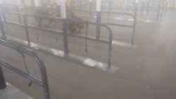 IMG_20170701_101936089.jpg