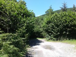 20170702_132424.jpg