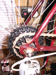 IMG_0012.JPG IMG_0012.JPG