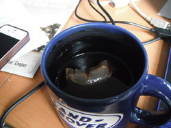 DSCF3557.JPG