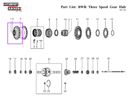 BWR.LH.ball.bearings.png