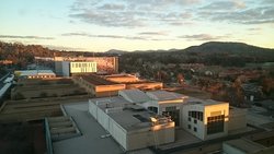 DSC_1900.JPG