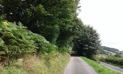 20170810_114524.jpg