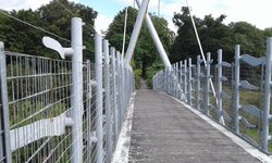 20170813_120659.jpg