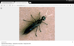 Screenshot_2017-09-25-08-21-51.png