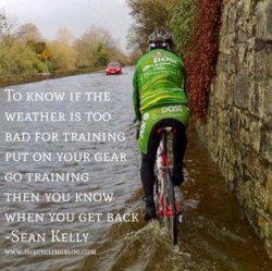 Sean_Kelly1.jpg
