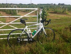 SpecializedAllez.JPG