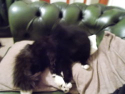 DSCN0154.JPG