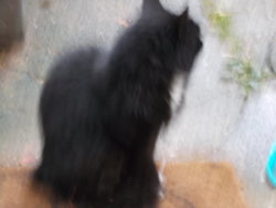 DSCN0152.JPG