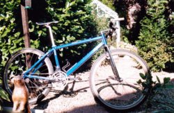 1990s. Mountain Bike. Pace Research. Renovation. 5.jpg