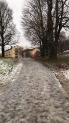 tøyen icy 2.jpg