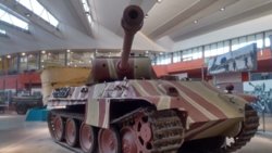 Panther.jpg