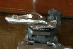 DP3M0880.jpg DP3M0880.jpg