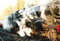 NYMR.  5428. Eric Treacy.jpg