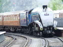Railways. BR. 60007. Sir Nigel Gresley. 2.JPG